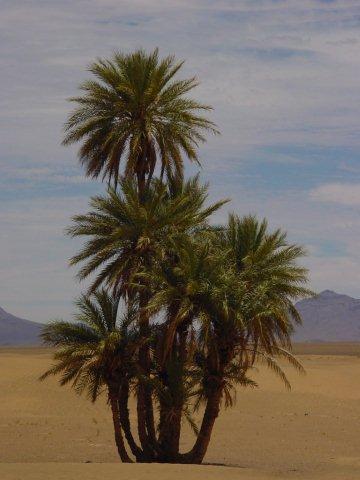 040417 Collegue a zagora 203